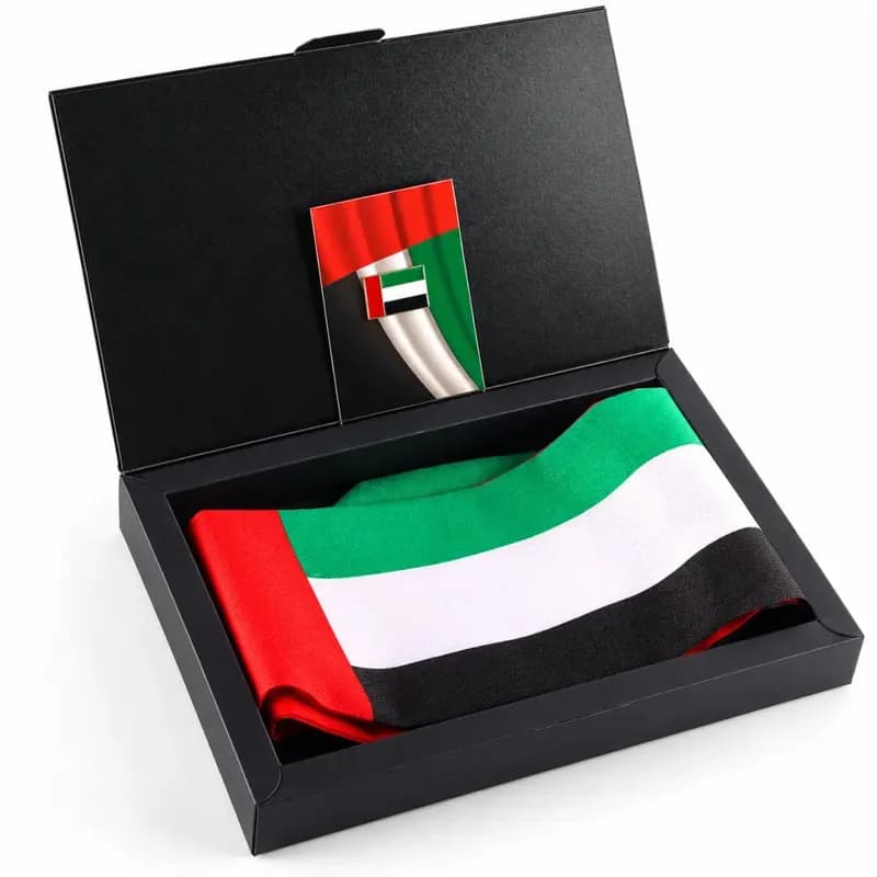 Flag Day Set — Flag Scarf & Brooch